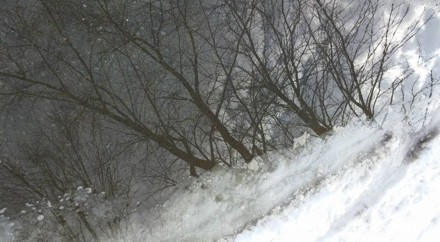 12006174_591252334383410_701184680391308074_n